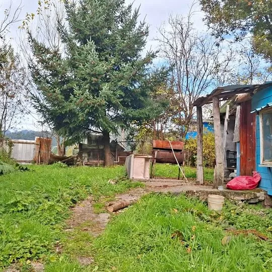 🏠 Venta de propiedad en Puerto Cisnes ideal para cabañas o inversión
