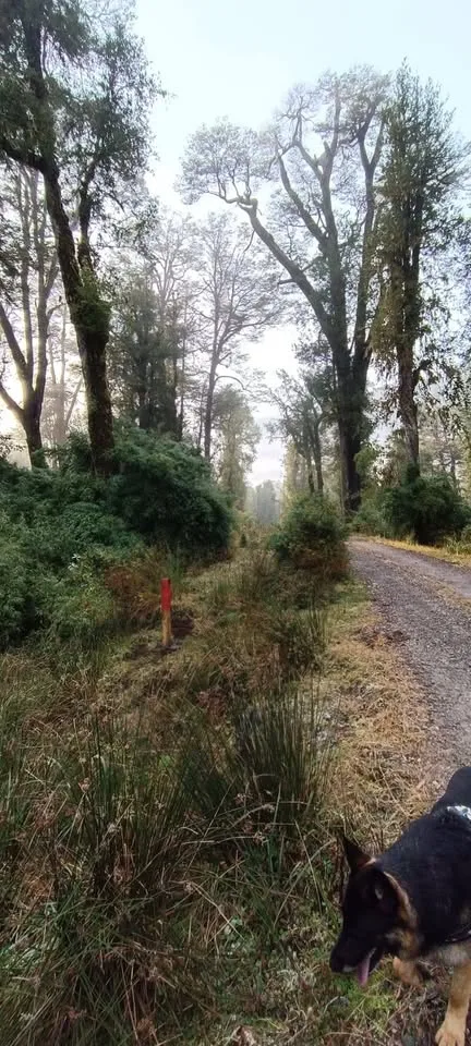 Campo en Venta en Cochrane | $29.000.000 - 8