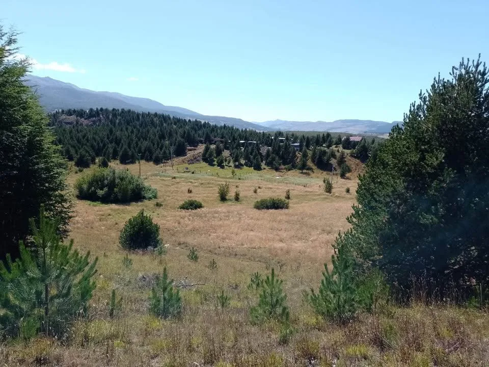 Campo en Venta en Coyhaique | $20.000.000 - 11