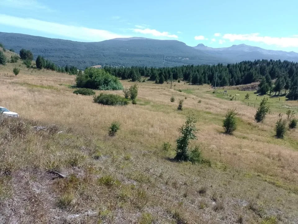 Campo en Venta en Coyhaique | $20.000.000 - 4
