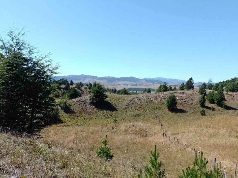 Campo en Venta en Coyhaique | $20.000.000 - 5