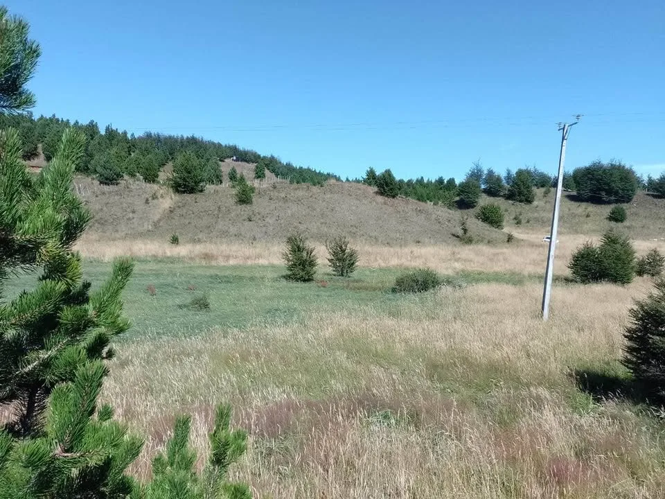 Campo en Venta en Coyhaique | $20.000.000 - 6
