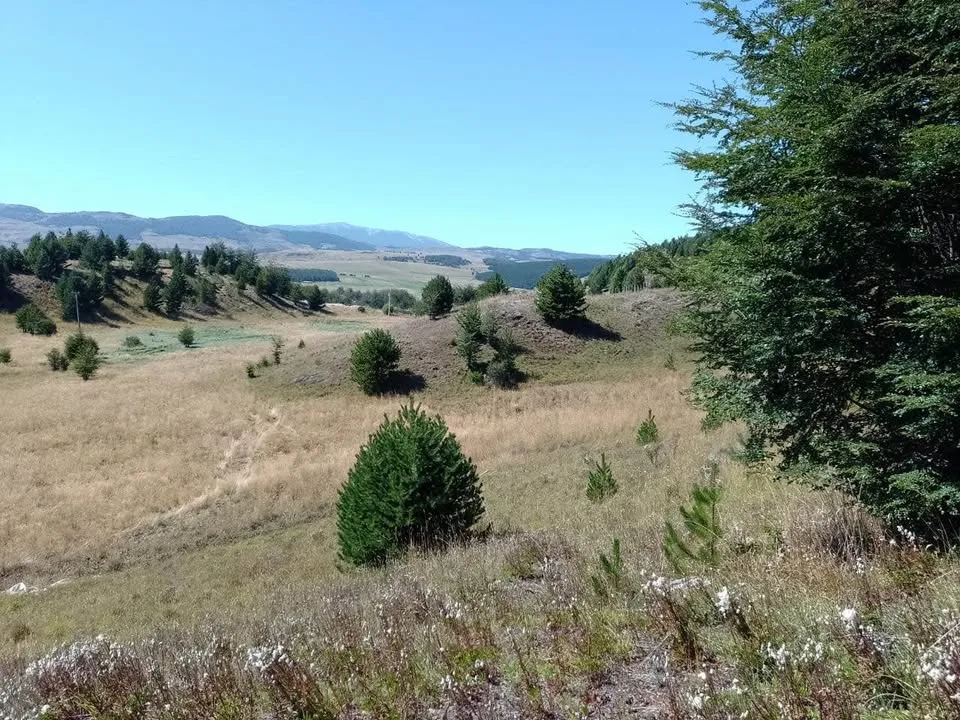 Campo en Venta en Coyhaique | $20.000.000 - 7