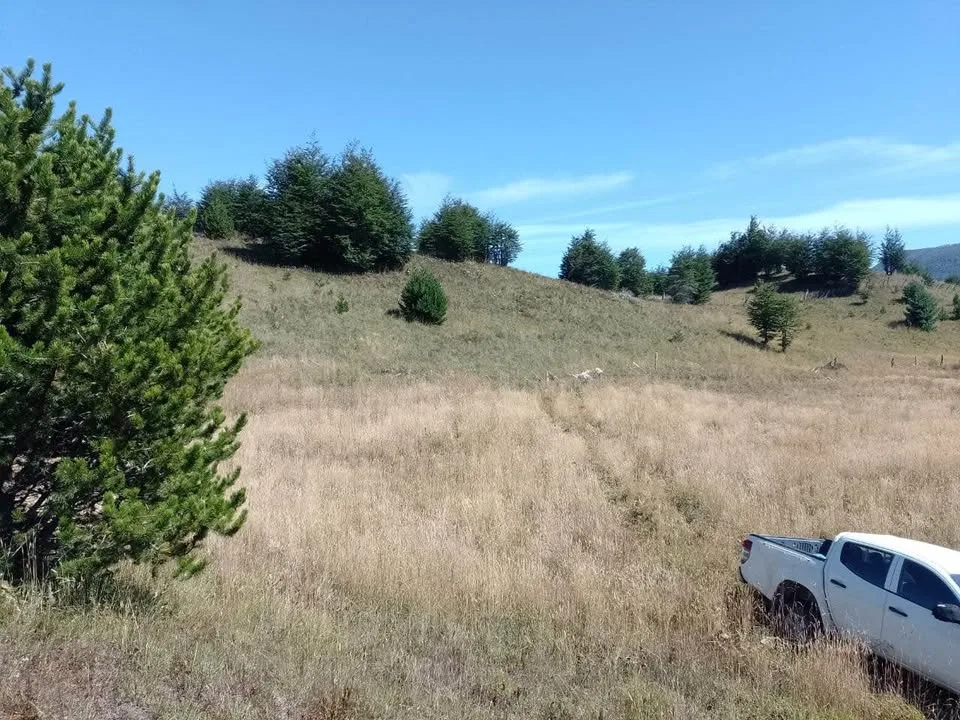 Campo en Venta en Coyhaique | $20.000.000 - 8