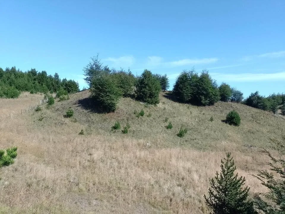 Campo en Venta en Coyhaique | $20.000.000 - 9