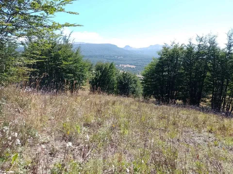 Campo en Venta en Coyhaique | $20.000.000 - 10