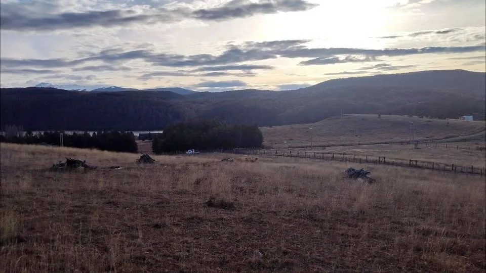 Campo en Venta en Coyhaique | 5000 m² | $20.000.000 - 2