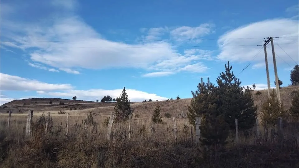 Campo en Venta en Coyhaique | 5000 m² | $20.000.000 - 4