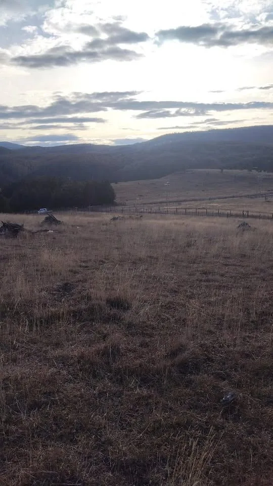 Campo en Venta en Coyhaique | 5000 m² | $20.000.000 - 5
