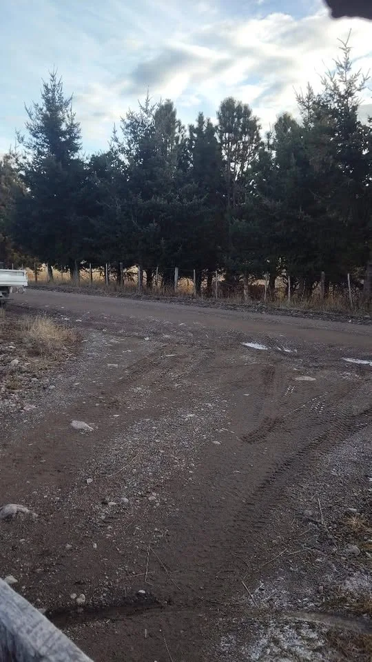 Campo en Venta en Coyhaique | 5000 m² | $20.000.000 - 6