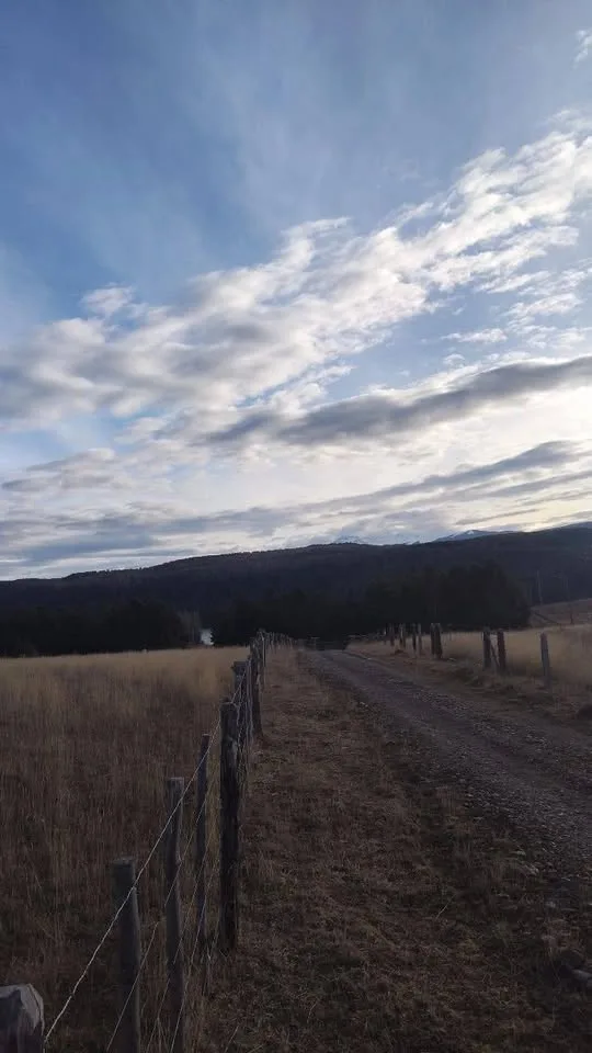 Campo en Venta en Coyhaique | 5000 m² | $20.000.000 - 7