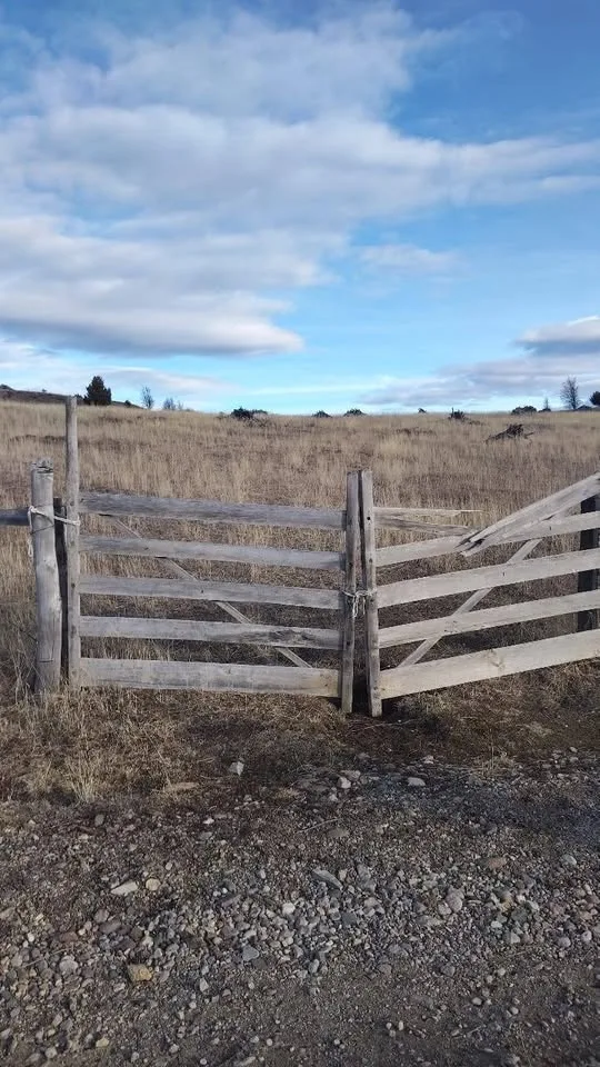 Campo en Venta en Coyhaique | 5000 m² | $20.000.000 - 9