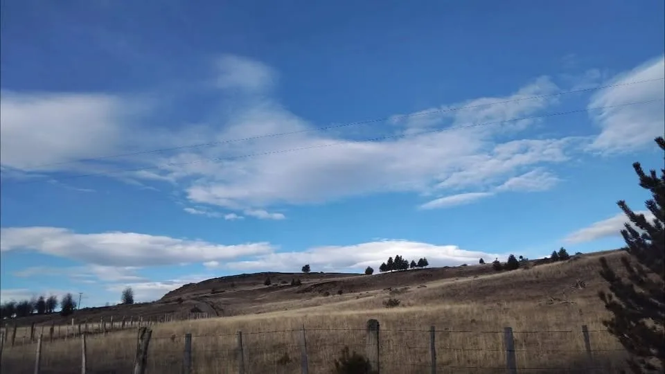 Campo en Venta en Coyhaique | 5000 m² | $20.000.000 - 10