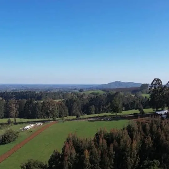 Campo en Venta en La Junta | 2 Baños | 180 m² | $140.000.000 - 24