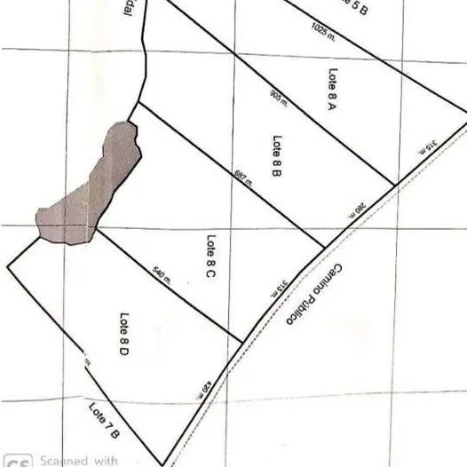 Campo en La Junta