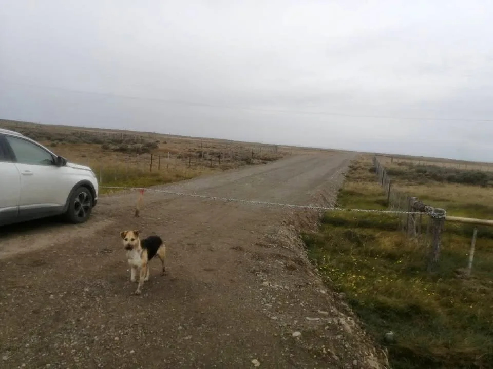 Campo en Villa O'Higgins