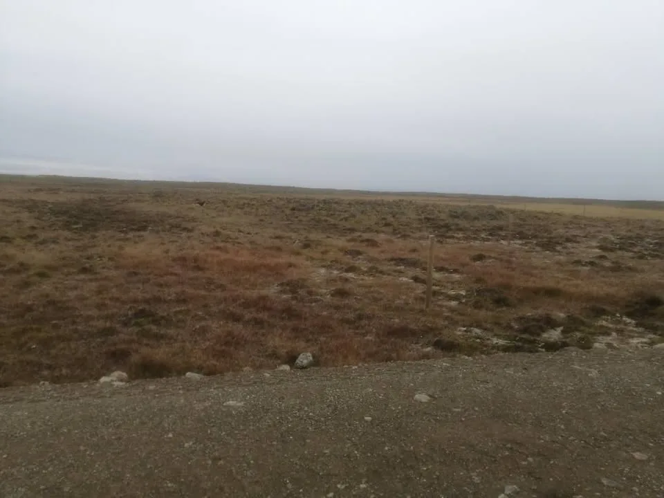 Campo en Venta en Villa O'Higgins | $24.000.000 - 5