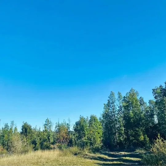 Casa en Venta en Puerto Guadal | 1 Dormitorio | 20 m² | $23.000.000 - 11