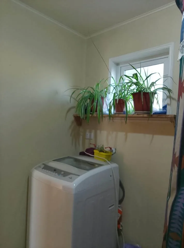 Casa en Venta en Chile Chico | 2 Dormitorios | 1 Baño | 60 m² | $55.000.000 - 9