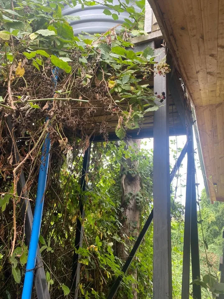 Casa en Venta en La Junta | 2 Dormitorios | 1 Baño | 500 m² | $43.000.000 - 8