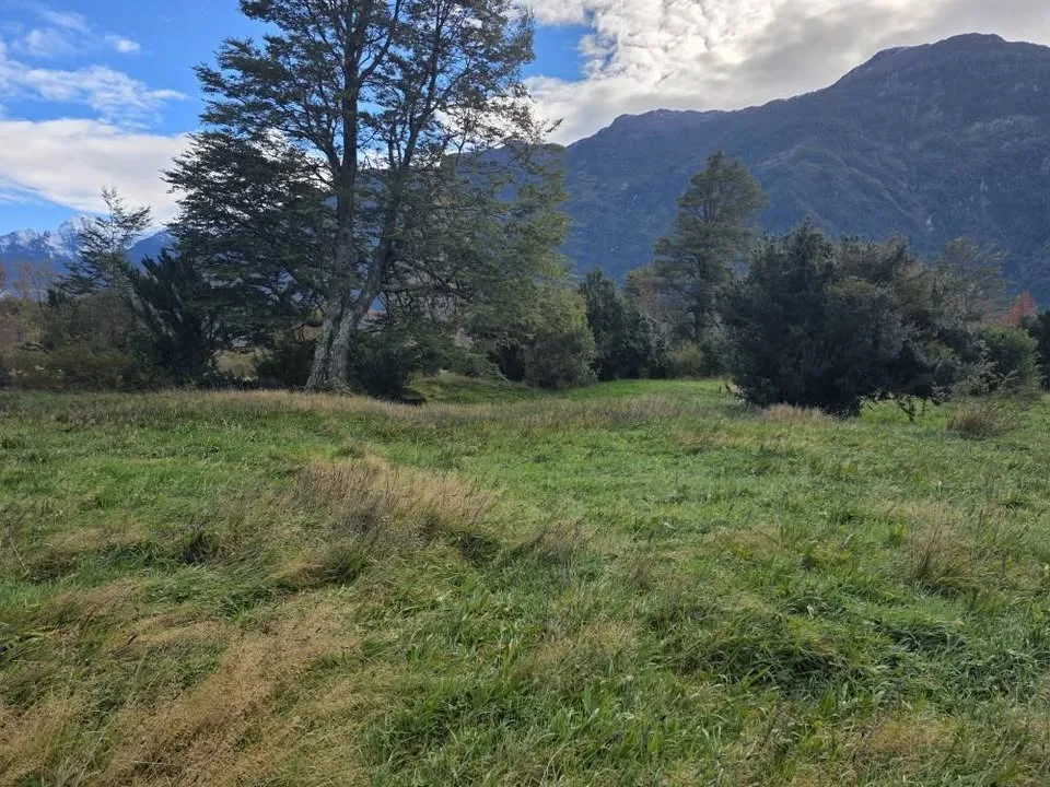 Casa en Venta en Puerto Aysen | 10000 m² | $75.000.000 - 14
