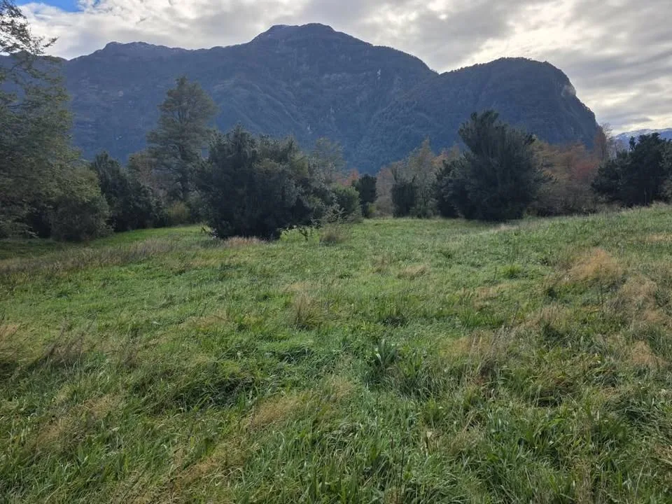 Casa en Venta en Puerto Aysen | 10000 m² | $75.000.000 - 15