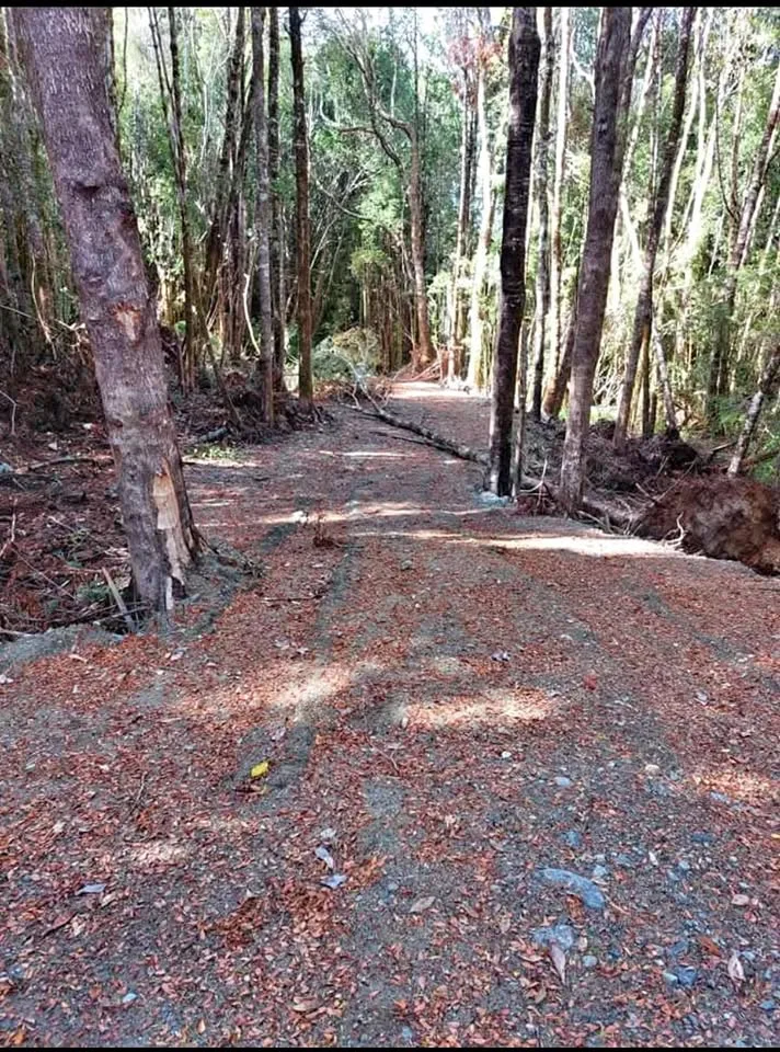 Parcela en Venta en La Junta | 3 Dormitorios | 2 Baños | 5000 m² | $12.000.000 - 2