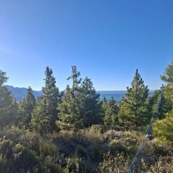 Parcela en Venta en Chile Chico | $78.000.000 - 20