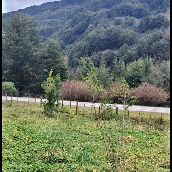 VENDO HERMOSA PARCELA DE 5.000 m2📍 Ruta X-50| CAMINO MAÑIHUALES