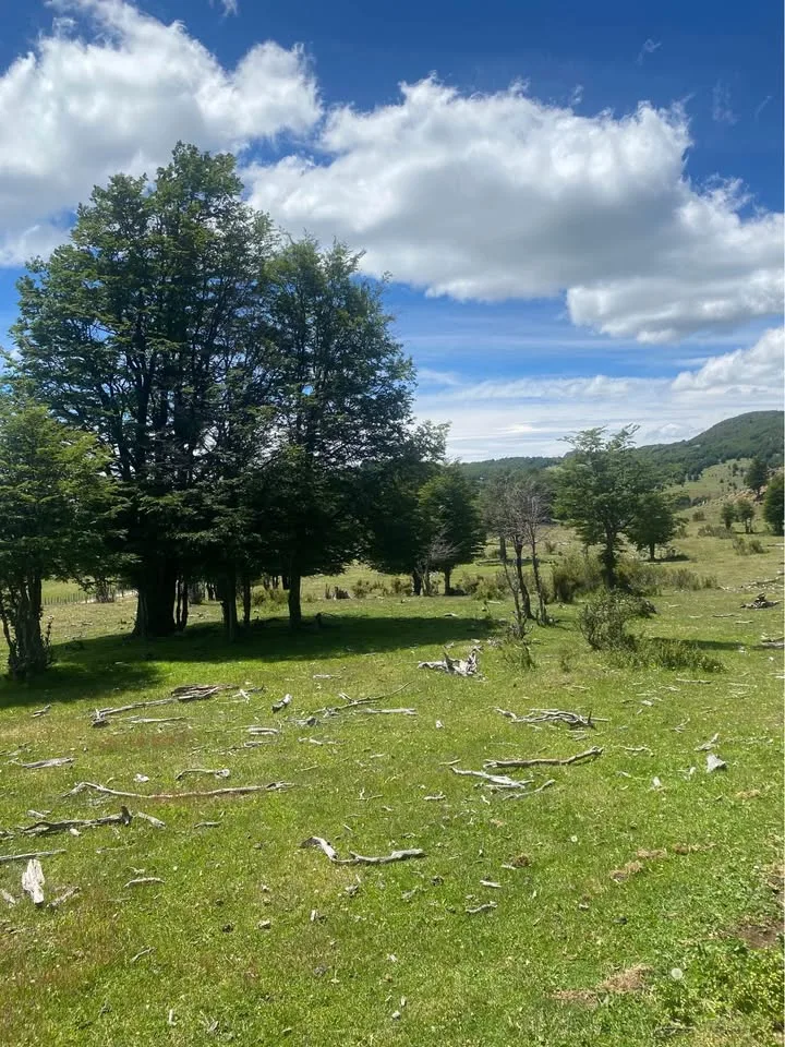 Parcela en Venta en Cochrane | $23.000.000 - 5