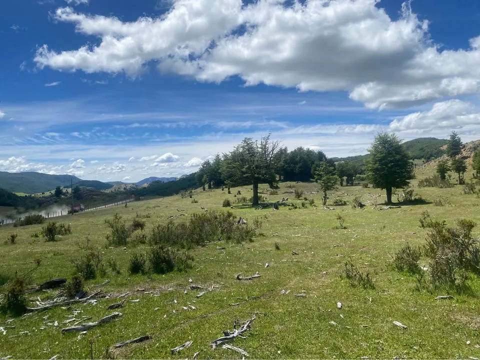 Parcela en Venta en Cochrane | $23.000.000 - 6