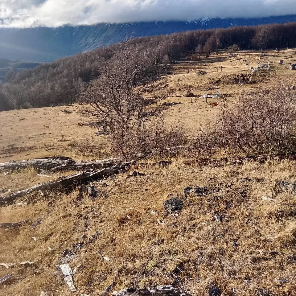 Parcela en Venta en Coyhaique | $10.000.000 - 16