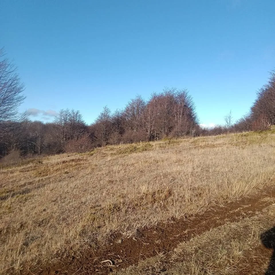 Parcela en Venta en Coyhaique | $10.000.000 - 17