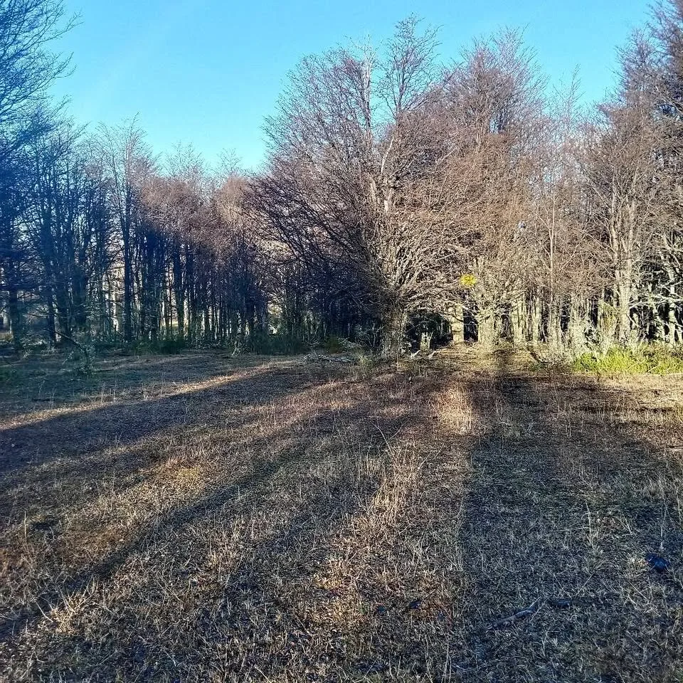 Parcela en Venta en Coyhaique | $10.000.000 - 3