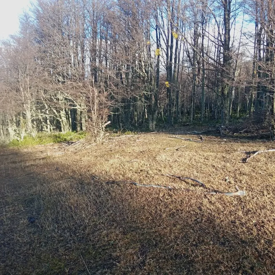 Parcela en Venta en Coyhaique | $10.000.000 - 4