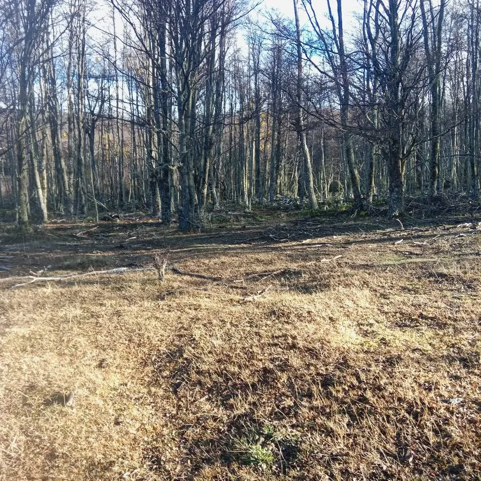 Parcela en Venta en Coyhaique | $10.000.000 - 5
