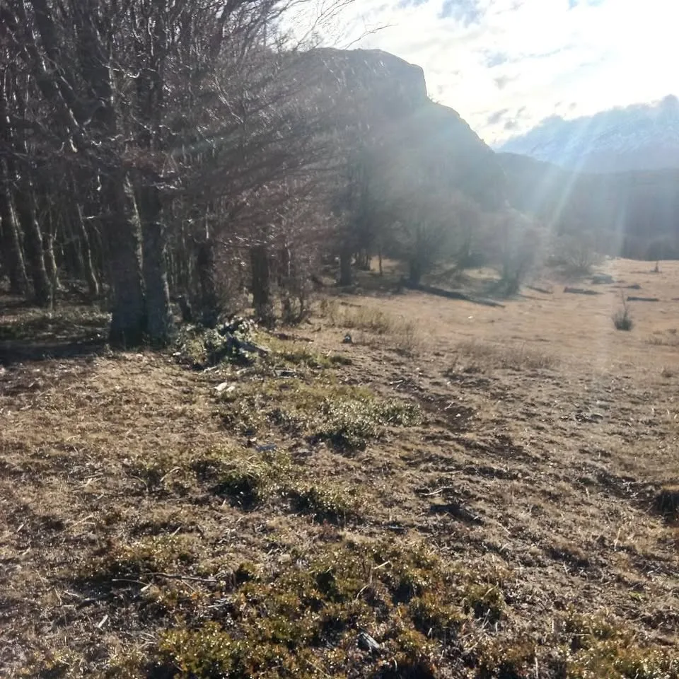 Parcela en Venta en Coyhaique | $10.000.000 - 7