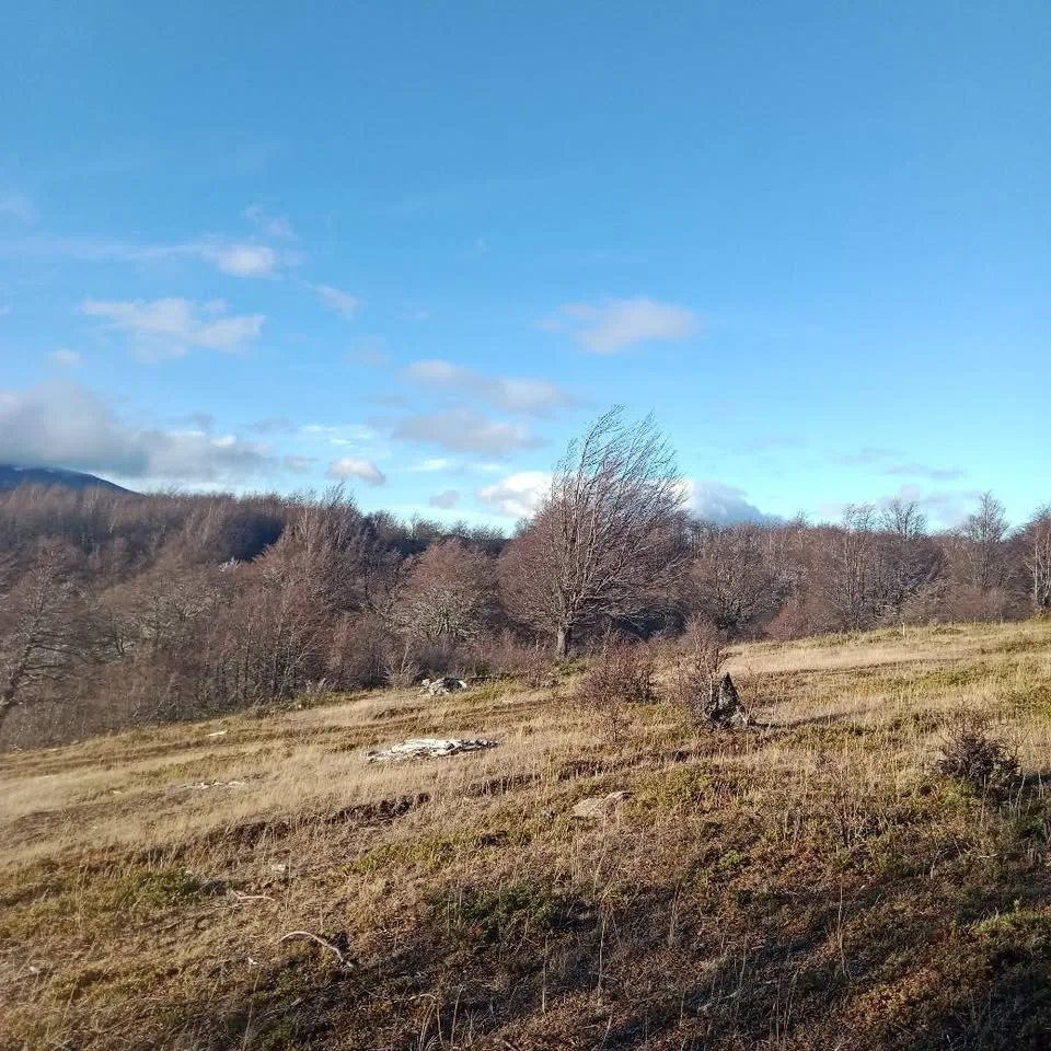 Parcela en Venta en Coyhaique | $10.000.000 - 10