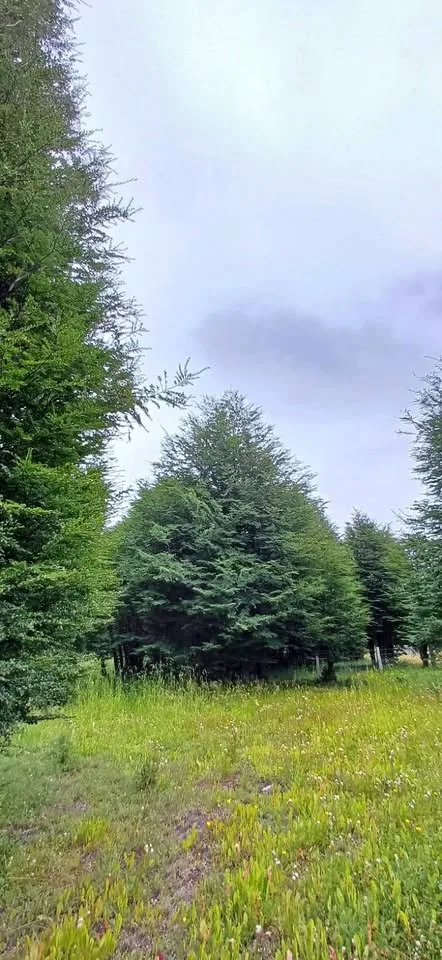 Parcela en Coyhaique