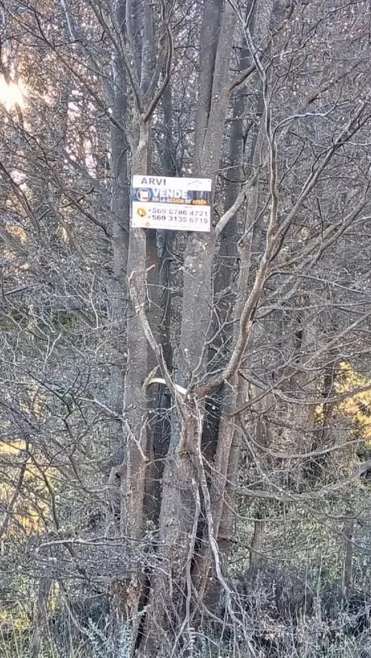 Vendo parcelas a 20 minutos de coyhaique