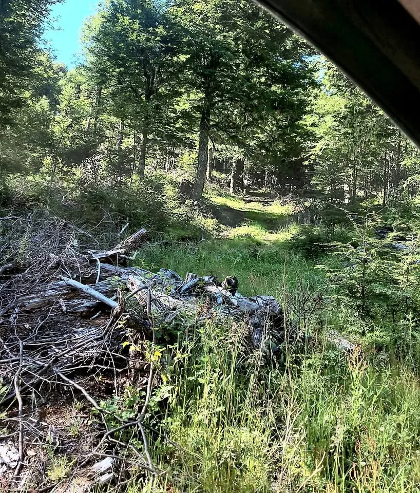 Parcela en Venta en Coyhaique | $35.000.000 - 4