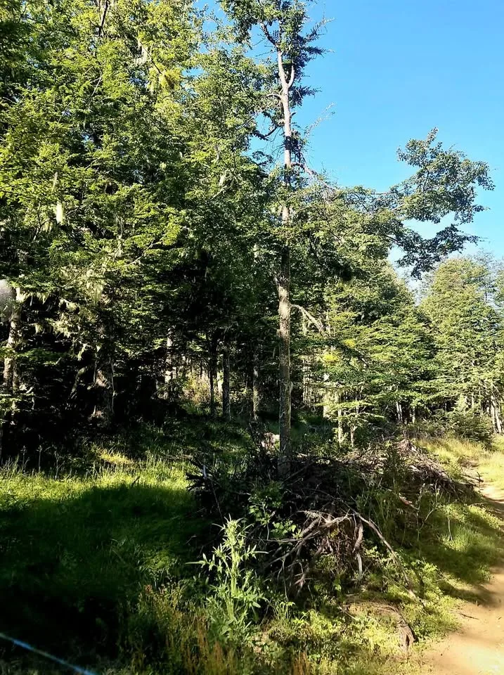 Parcela en Venta en Coyhaique | $35.000.000 - 5