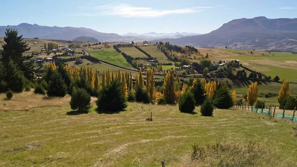 Parcela 5000m² en Coyhaique