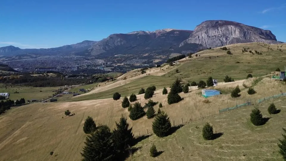 Parcela en Venta en Coyhaique | 5000 m² | $58.000.000 - 4