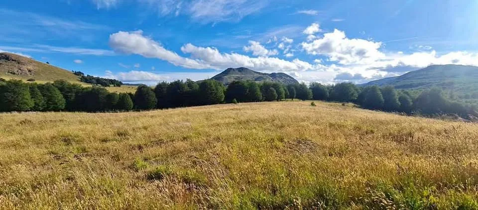 Parcela en Coyhaique