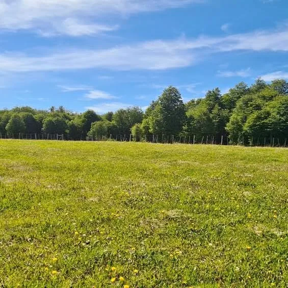Parcela en Coyhaique