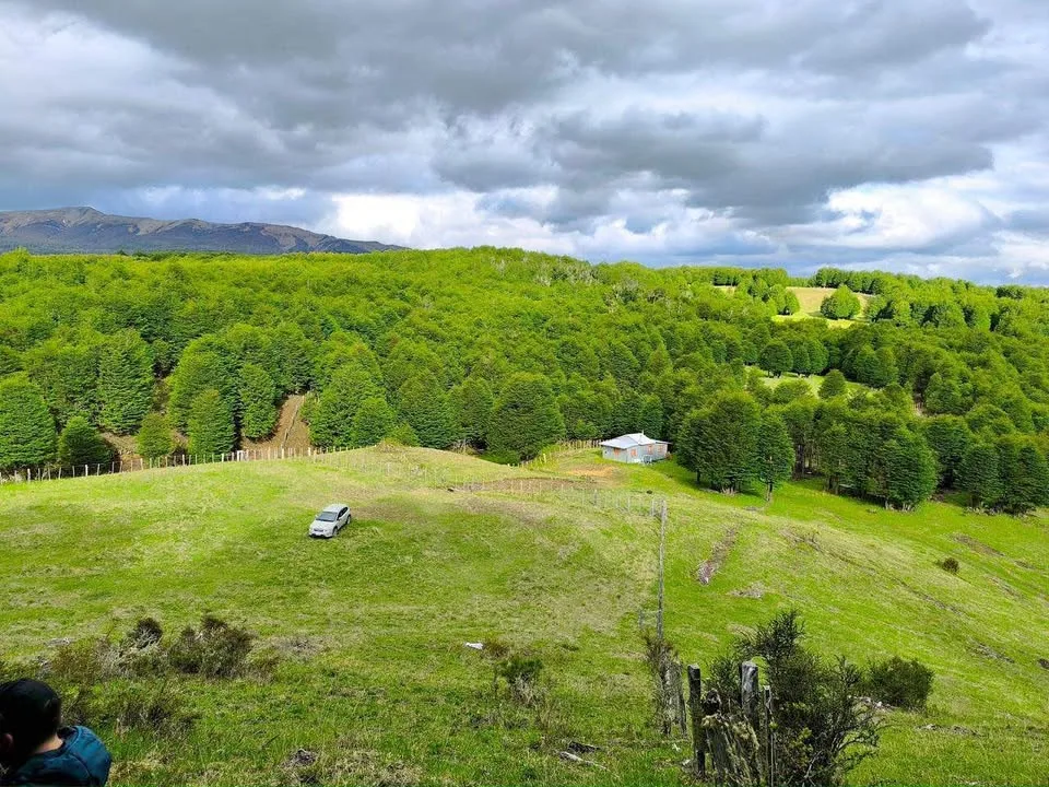 Parcela en Coyhaique
