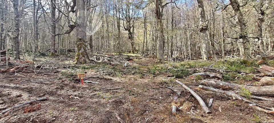 Se vende terreno parcela coyhaique