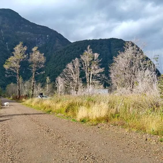 🏔 Parcela 5.000 m² Patagonia – 10 min Puerto Aysén