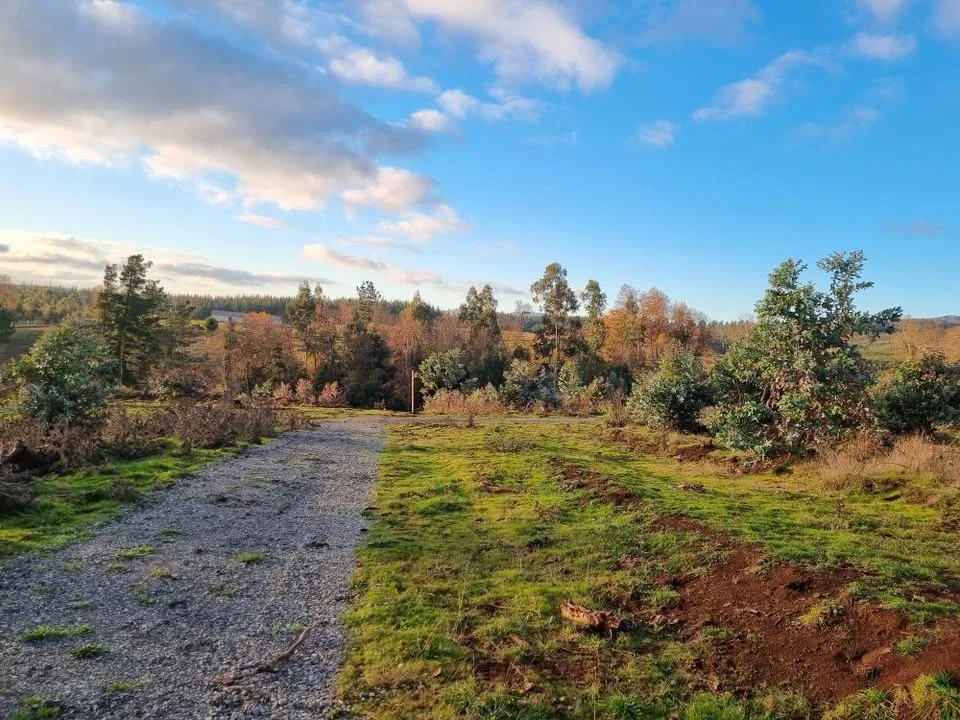 Parcela en Venta en La Junta | 5000 m² | $20.000.000 - 9